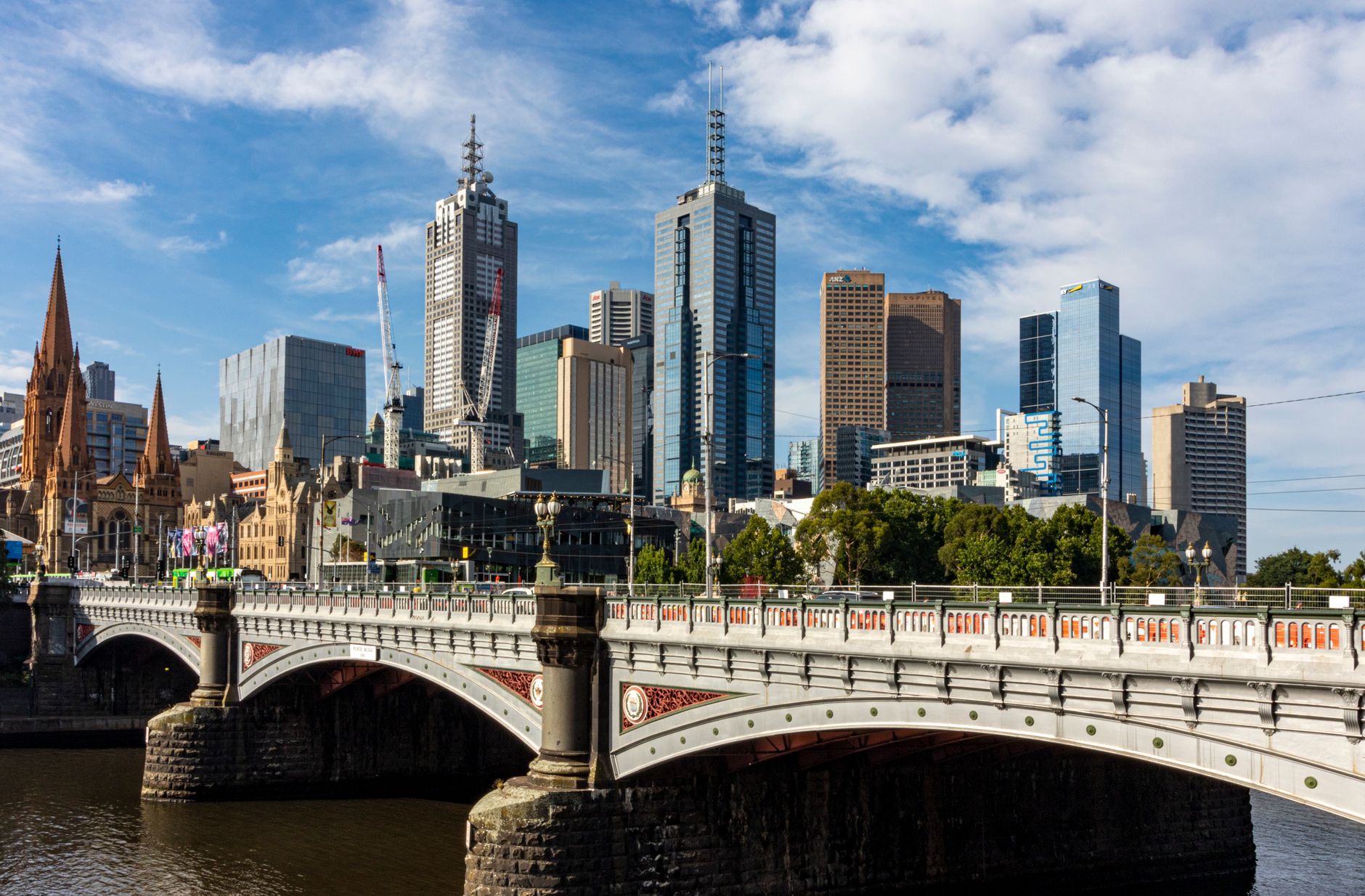 Web designer working on a Melbourne business website project timeline.